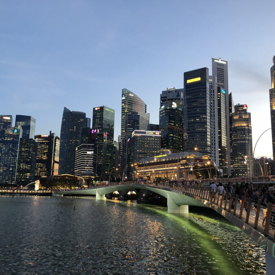 CATHAY PACIFIC läutet Jahr des Pferdes ein